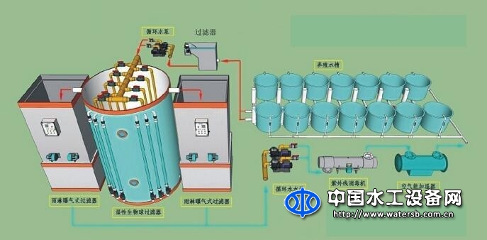 魚類增殖放流系統