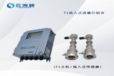 TDS-100CF1  插入式超聲波流量計